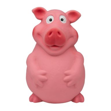 latex_pig_2_.jpg
