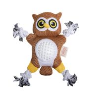 Owl 2-in-1 Toy