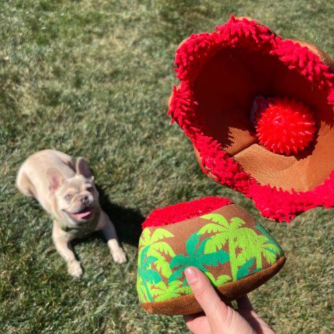Territory Pet Stone Age Collection Dog Toys | Volcano 3-in-1