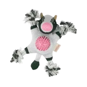 Grass