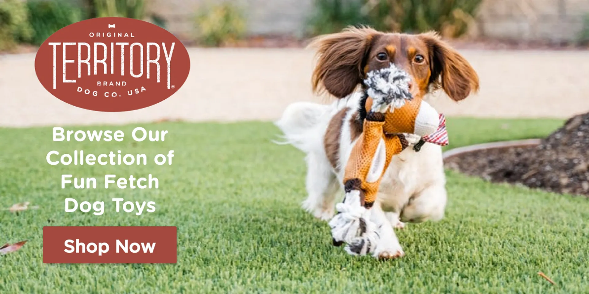 Territory Fetch Dog Toys Collection Homepage Banner