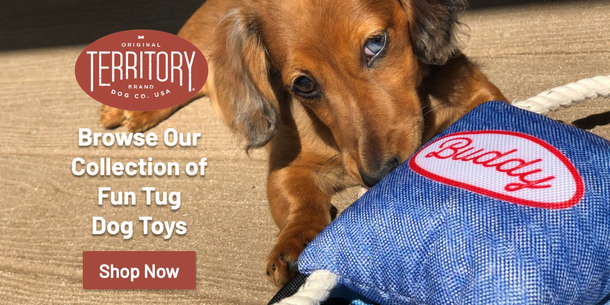 Territory Fun Tug Dog Toys Collection Homepage Banner